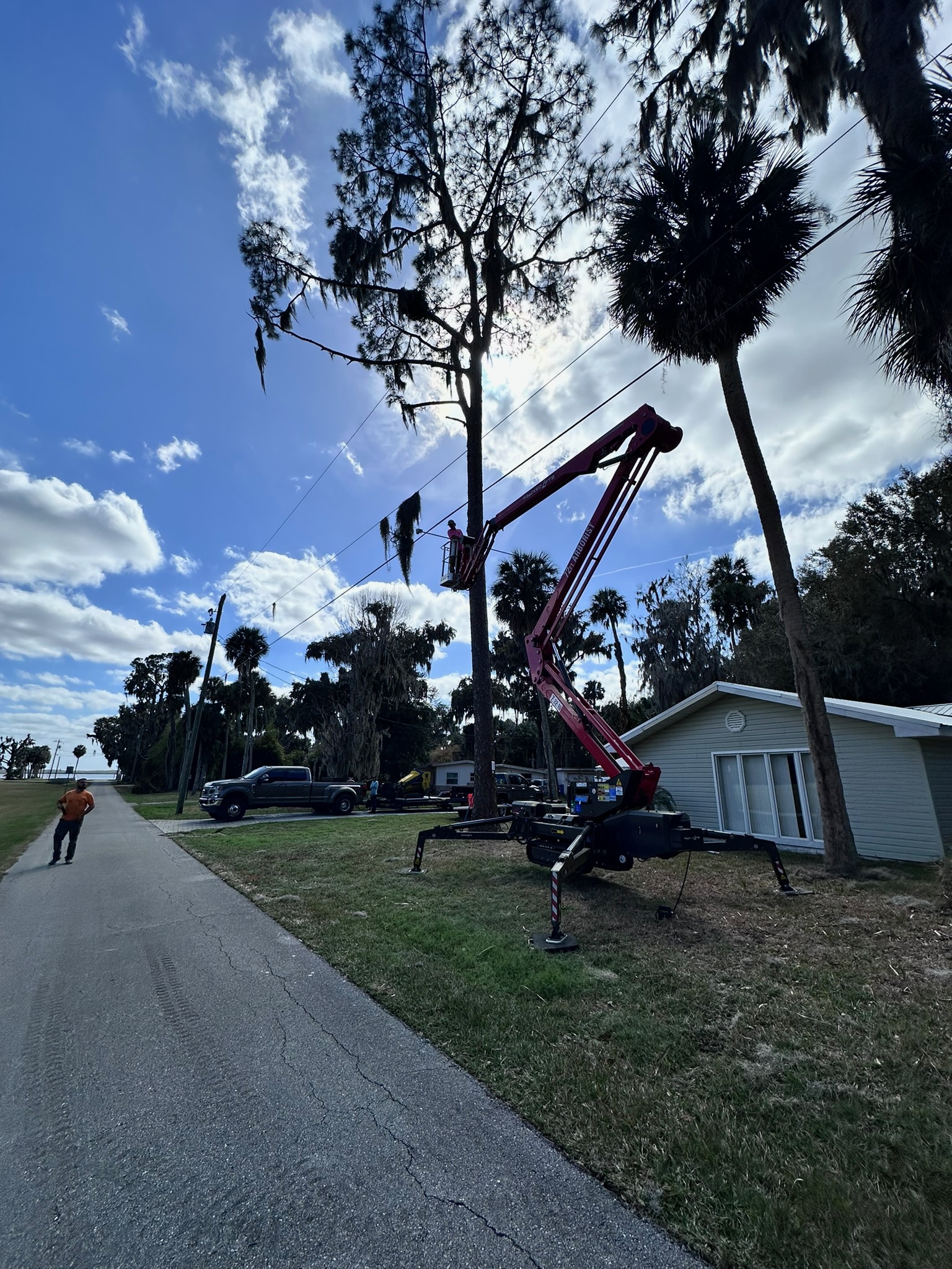 A lift installing the SuperBeaks osprey camera high in a Central Florida pine tree