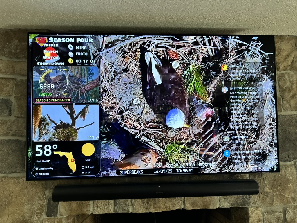 SuperBeaks Season 4 triple-hatch live broadcast displayed on television